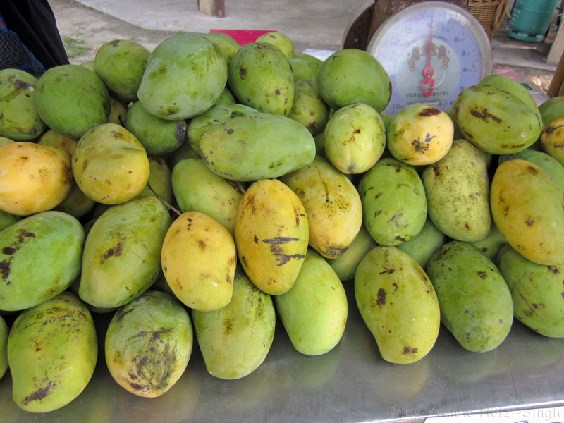 Mango Topfencreme indisch - vegetarisch - Freude am Kochen