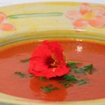 Tomaten Zucchini Suppe