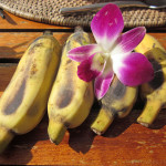 Himbeer Bananen Topfencreme – vegetarisch