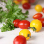 Tomaten Käsefondue – vegetarisch